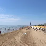 Marco Polo
