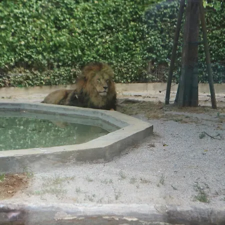 Lejlighed Marco Polo