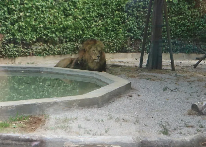 Апартаменты Marco Polo